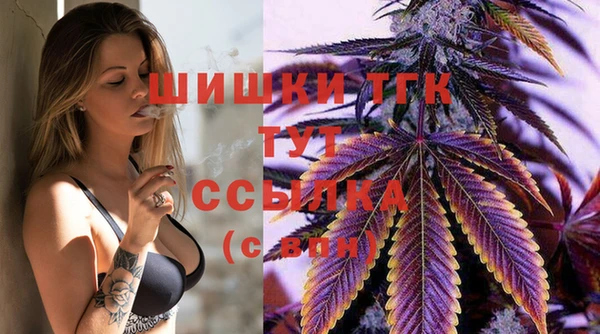 прущие грибы Арсеньев