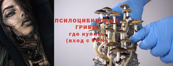 прущие грибы Арсеньев