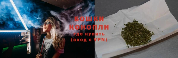 прущие грибы Арсеньев