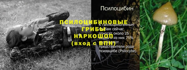 герыч Дмитровск