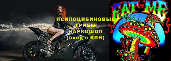 ПСИЛОЦИБИНОВЫЕ ГРИБЫ Аркадак