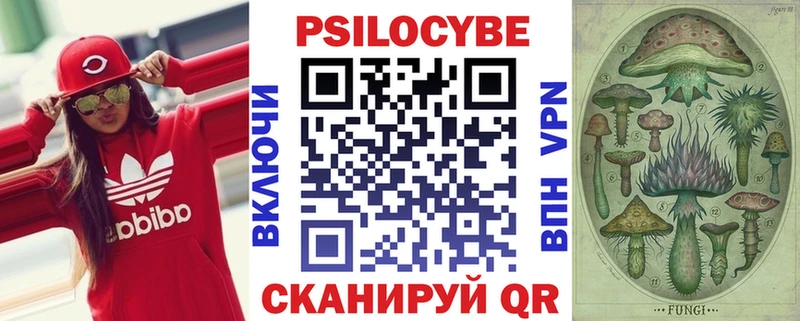 Галлюциногенные грибы Psilocybe OMG ссылки Армянск